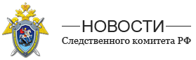 В Новосибирской области завершено расследование двух уголовных дел по факту незаконного использования объектов авторского права